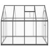 vidaXL Greenhouse Anthracite, Transparent Aluminum, Polycarbonate Large