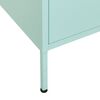vidaXL Storage Cabinet Mint Steel Medium Levelers