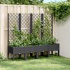 vidaXL Garden Planter Black Polypropylene 63 x 15.7 x 55.9 in Planters