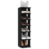 vidaXL Shoe Cabinet Set of 2 Black Engineered wood Compact