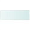vidaXL Glass Panel Clear Tempered Glass 27.6 in x 9.8 in Glass Shelf