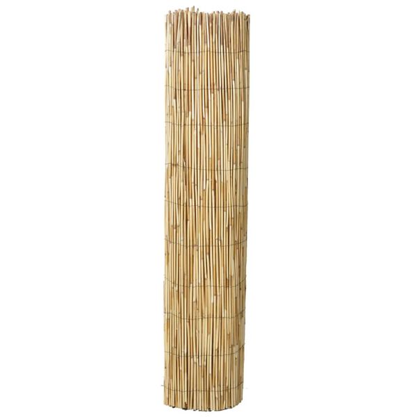 vidaXL Garden Reed Fence 196.9"x39.4"