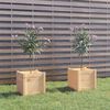 vidaXL Planter Set of 2 Natural Wood Solid Pinewood Medium Planters