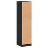 vidaXL Highboard Black Engineered wood, Glass Tall Highboard