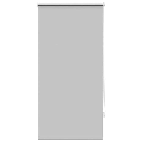 vidaXL Blind Grey Polyester, Aluminum, PVC 23.6 x 47.2