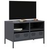 vidaXL TV Cabinet Anthracite Cold-rolled steel Medium Adjustable Feet