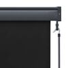 vidaXL Outdoor Roller Blind Anthracite