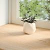 vidaXL Window Sills 2 pcs Untreated 35.4x15.7x0.8" Solid Wood Oak
