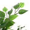 vidaXL Artificial Ficus Plant Green PEVA, Mixed Hardwood, Polyethylene