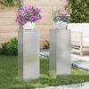 vidaXL Plant Stand 2 pcs Silver 9.45 x 9.45 x 29.53 in Stainless steel