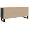 vidaXL TV Cabinet Black Solid mango wood Medium TV Cabinet Rectangular