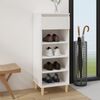 vidaXL Shoe Cabinet White Engineered wood, Solid eucalyptus wood Compact