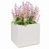vidaXL Garden Planter White 36 x 36 x 35 cm Polypropylene