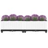 vidaXL Raised Bed White Polypropylene Medium Raised Bed Rectangular