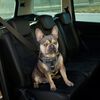Kerbl Pet Car Safety Harness Black Nylon Adjustable Sturdy