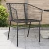 vidaXL Garden Chair Black PE Rattan, Powder-Coated Steel Durable