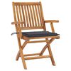 vidaXL Garden Chair Set of 2 Teak wood Standard Foldable Garden Chair