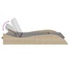 vidaXL Sun Lounger Beige PE rattan 44.9x80.7x28.7 in