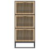 vidaXL Shoe Cabinet Black Engineered wood Medium Shoe Cabinet
