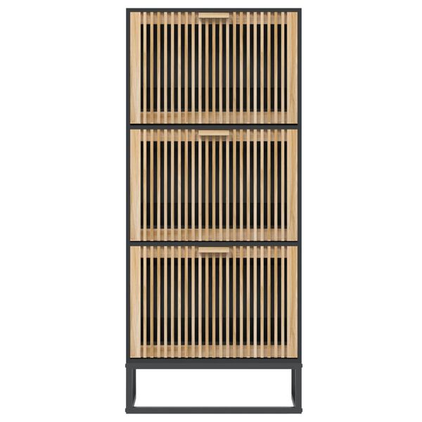 vidaXL Shoe Cabinet Black Engineered wood Medium Shoe Cabinet