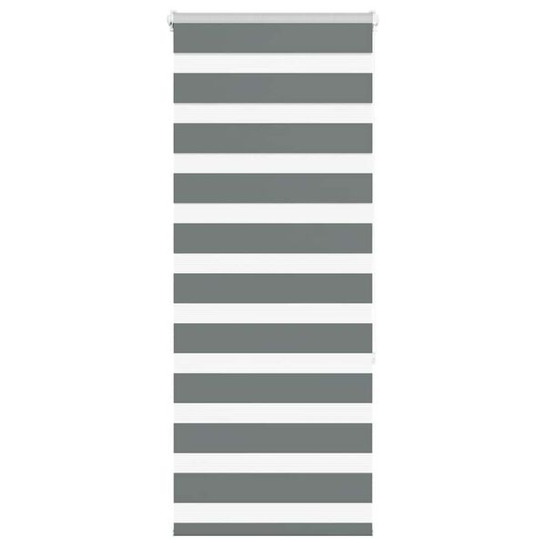 vidaXL Zebra Blind Dark grey 100% polyester, aluminum top rail