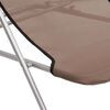 vidaXL Beach Chair Brown Powder-coated steel, textilene Standard