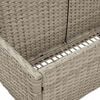 vidaXL Poolside Float Storage Light Grey PE Rattan, Powder-Coated Steel