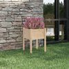 vidaXL Planter Natural Wood Solid pinewood Medium Durable Planter