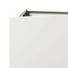vidaXL Garden Planter White Steel Medium Garden Planter Triangular