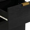 vidaXL Sideboard Black Engineered wood, Solid mango wood, Brass Medium