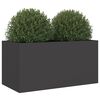 vidaXL Planter Black Cold-rolled steel Medium Durable Planter