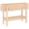 vidaXL Patio Raised Bed  101x30 x 27.2 " Solid Wood Pine
