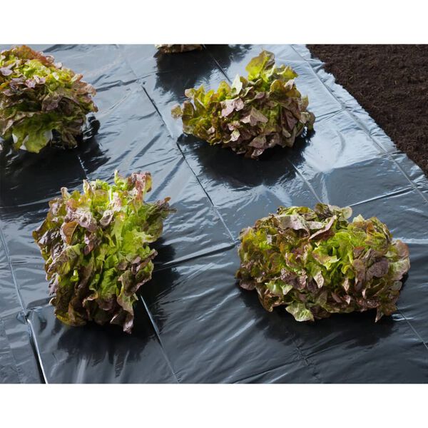 Nature Soil Cover Film Black LDPE (Low-Density Polyethylene) 9.8 x 13.1 ft