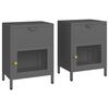 vidaXL Nightstand Set of 2 Anthracite Steel, tempered glass Nightstand