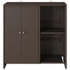 vidaXL Storage Cabinet with Door Brown 39.37 x 14.17 x 40.16 in Rattan