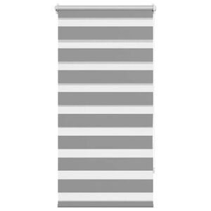 vidaXL Zebra blind 23.6"x47.2" Gray