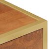 vidaXL Bedside Cabinet Brown Solid Mango Wood Medium Storage