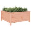 vidaXL Garden Planter Natural Wood Solid Douglas Wood Large Durable