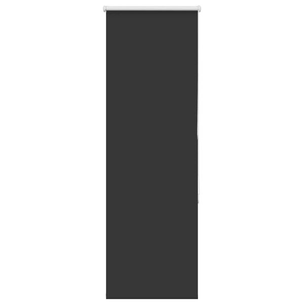 vidaXL Roller Blind Black 100% Polyester 21.7 x 68.9 in Roller Blind