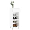 vidaXL Shoe Cabinet High gloss white Engineered wood, metal Medium