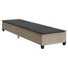vidaXL Sun Lounger with Cushions Light Grey 55x200x25,5cm Poly Rattan