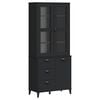 vidaXL Highboard Black