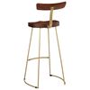vidaXL Bar Stool Set of 2 Brown and Gold Solid Mango Wood, Iron Standard