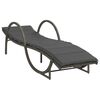 vidaXL Sun Lounger Set of 2 Grey PE rattan Adult-sized