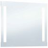vidaXL Bathroom Mirror Silver Glass 39.4x23.6 in Wall Mounting
