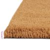 vidaXL Door Mat Set of 2 Natural Coir, PVC 15.7 x 23.6 in Durable