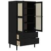 vidaXL Wardrobe Black Solid Pine Wood, Engineered Wood, Poly Rattan