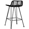 vidaXL Bar Chair Set of 2 Black Natural Rattan, Metal Standard