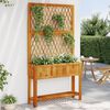 vidaXL Planter Natural Acacia Solid Acacia wood Large Durable Planter