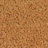vidaXL Door Mat Set of 2 Natural Coir, PVC 15.7 x 23.6 in Durable